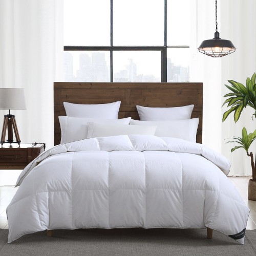 Comforters & Bedspreads| Smithsonian Sleep Collection White Abstract Reversible Full/Queen Comforter (Cotton with Down Fill) - LF27012