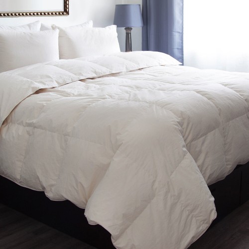 Comforters & Bedspreads| Weatherproof Vintage Natural Solid Queen Comforter (Cotton with Down Alternative Fill) - CB60837