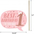 Big Dot of Happiness Funny 1st Birthday Little Miss Onederful Girl First Birthday Party Photo Booth Props Kit 10 Piece