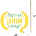 Big Dot of Happiness Funny So Fresh Lemon Citrus Lemonade Party Photo Booth Props Kit 10 Piece