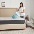 Mattress Covers & Toppers| Sealy SealyChill 2-in D Memory Foam King Mattress Topper - RW52309