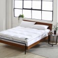 Mattress Covers & Toppers| Smithsonian Sleep Collection Smithsonian 4-in Goose Down Top Featherbed - AX80438