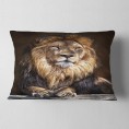Throw Pillows| Designart 12-in x 20-in Brown Polyester Indoor Decorative Pillow - MM76470