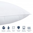 Bed Pillows| Cozy Essentials 2-Pack Queen Medium Down Alternative Bed Pillow - HJ26520