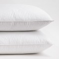 Bed Pillows| Cozy Essentials 2-Pack Standard Firm Down Alternative Bed Pillow - AD38259