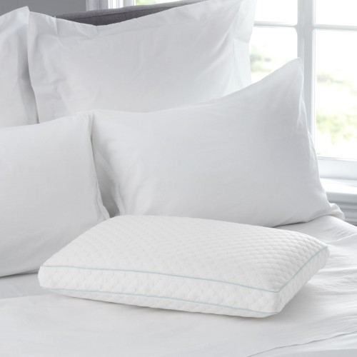 Bed Pillows| Sealy Standard Soft Memory Foam Bed Pillow - ZD22712