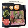 20ct Lunch + 20ct Cocktail Napkins | Kitten Napkins | Cat Paper Napkins | Decoupage Napkins | Decorative Napkins for Decoupage | Cute Kitten Napkins for Cat Lovers