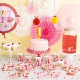 1st Birthday Pink Ladybug Dessert Party Pack Paper Plates Napkins Cups Table Cover and Hanging Cutouts Set Serves 16