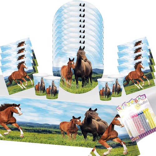 Horse and Pony Party Supplies Pack Serves-16: Dessert Plates Beverage Napkins Cups and Table Cover with Birthday Candles: Deluxe Bundle for 16