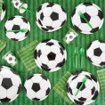 Soccer Birthday Party Pack Dinnerware Set and Banner Serves 24 171 Pieces