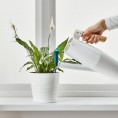 CHILIPULVER Plant watering sensor