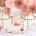 Rose Gold Party Decorations Tissue Pom Poms Paper Lanterns Honeycomb Ball Paper Circle Dots Garlands 13 Pcs Hanging Party Supply Set for Wedding Bridal Shower Baby Shower Birthday Rose Gold
